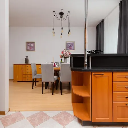 Lejlighed Duplex Near The Airport By Renters *